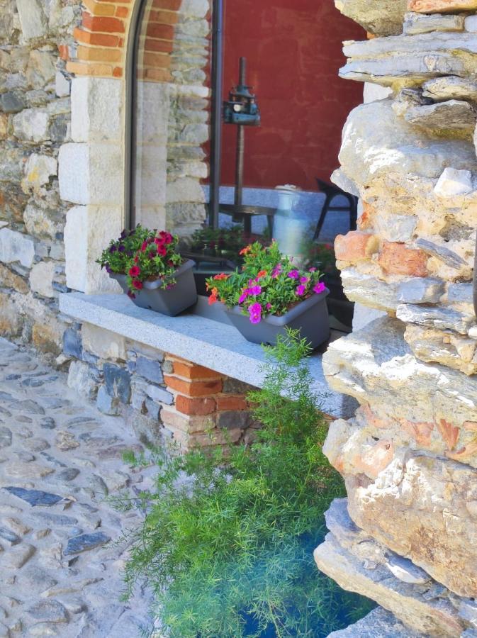 Agriturismo Il Medeghino موسّو المظهر الخارجي الصورة