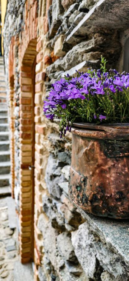 Agriturismo Il Medeghino موسّو المظهر الخارجي الصورة